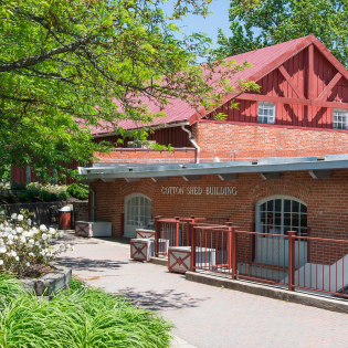 Savage Mill