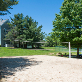 Volleyball Court